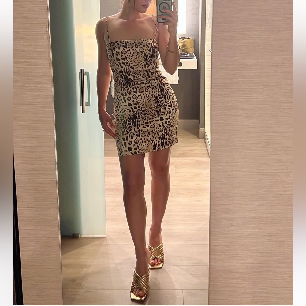 Anine Bing animal print dress